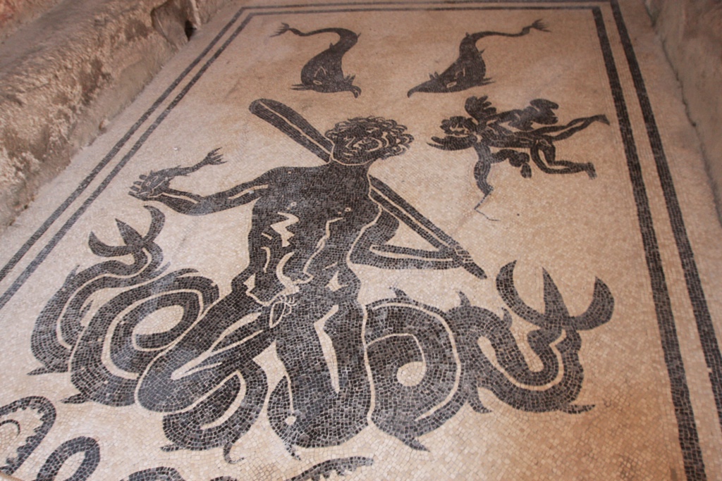 Aquatic Floor Mosaic, Herculaneum, Italy (IMG_9814) small